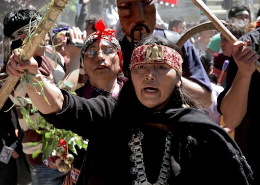 mapuche woman during protest