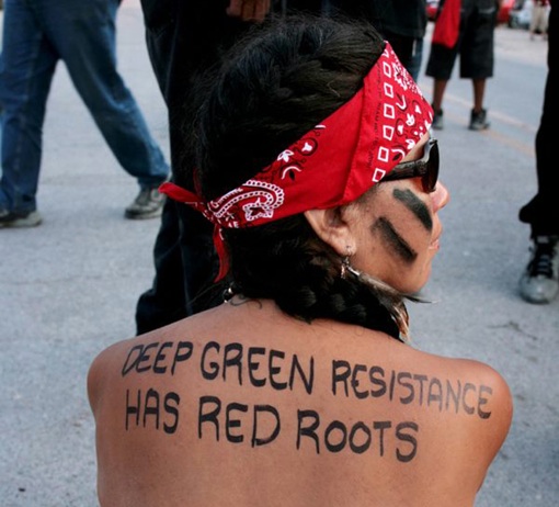 9_small_DGR_has_Red_Roots
