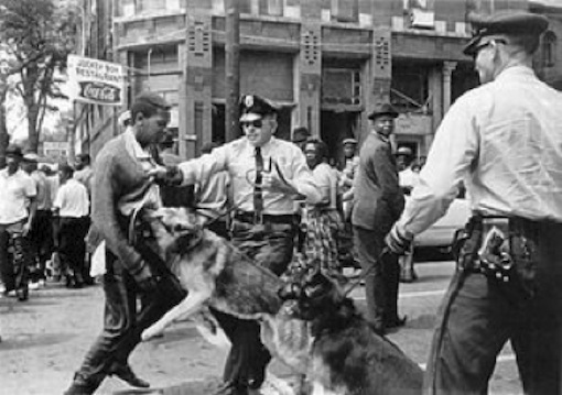 dogattack