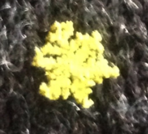 yellowsnowflakes