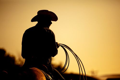 shutterstock_62251663