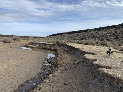 A person walking down a dirt road Description automatically generated