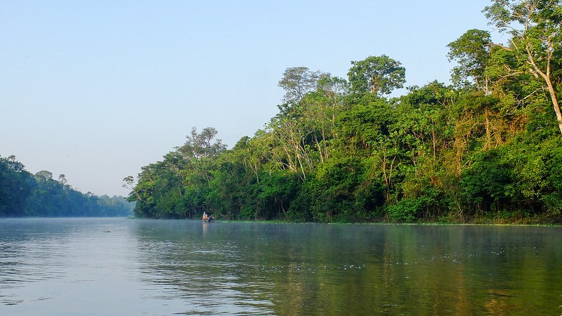 Brazil Amazon World Govern By Hate CounterPunch