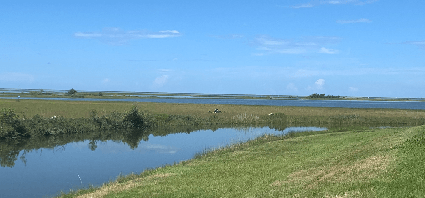 End-Times: a Visit to Isle de Jean Charles, Louisiana