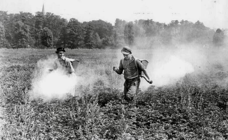 A couple of men spraying plantsDescription automatically generated