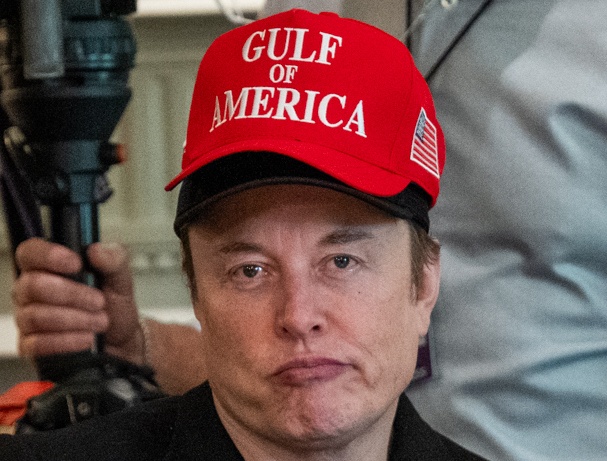 Inside the MAGA Mind: Musk Could Apologize to Trump, But Not to the American People