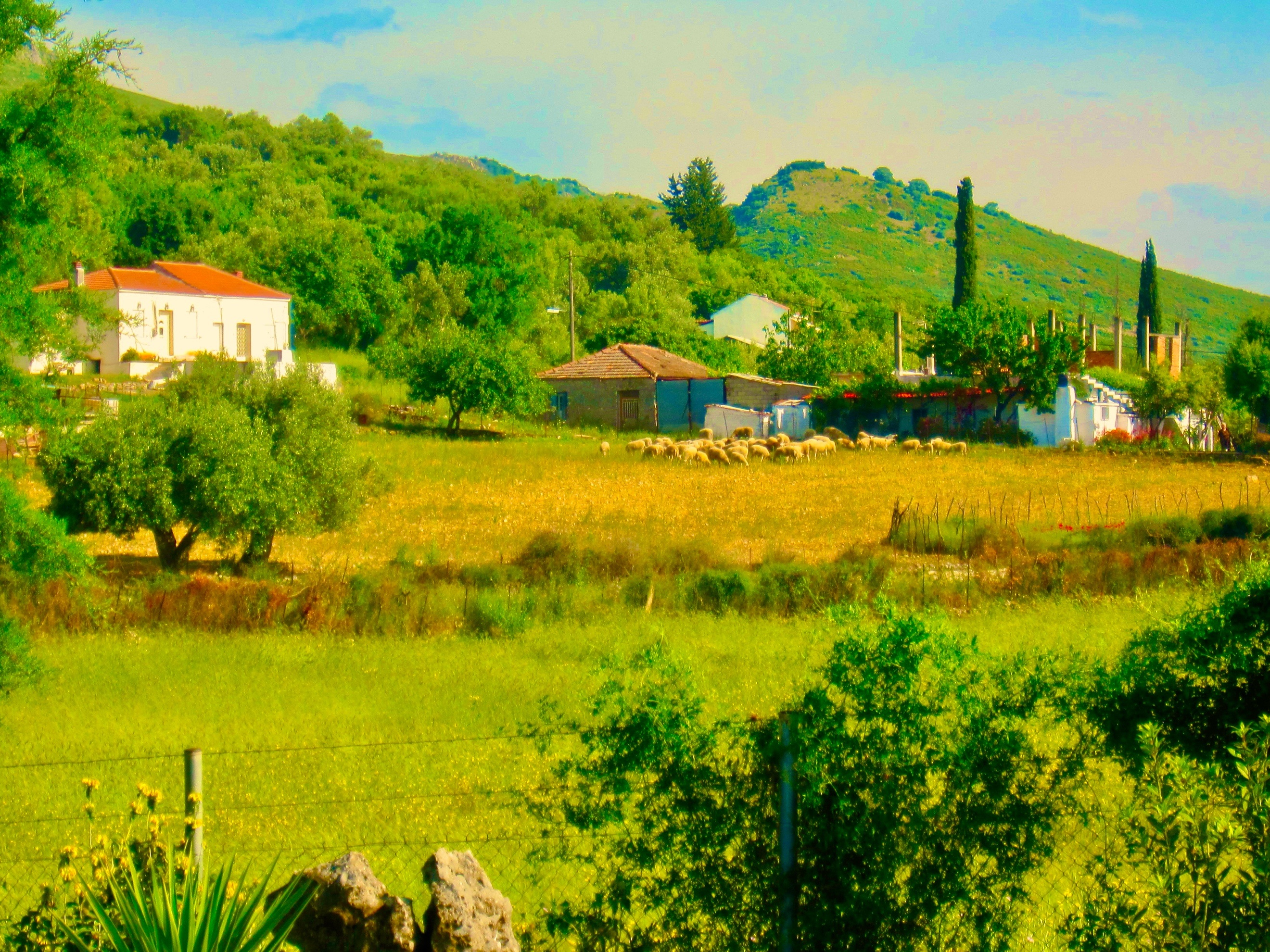 A landscape with houses and trees AI-generated content may be incorrect.