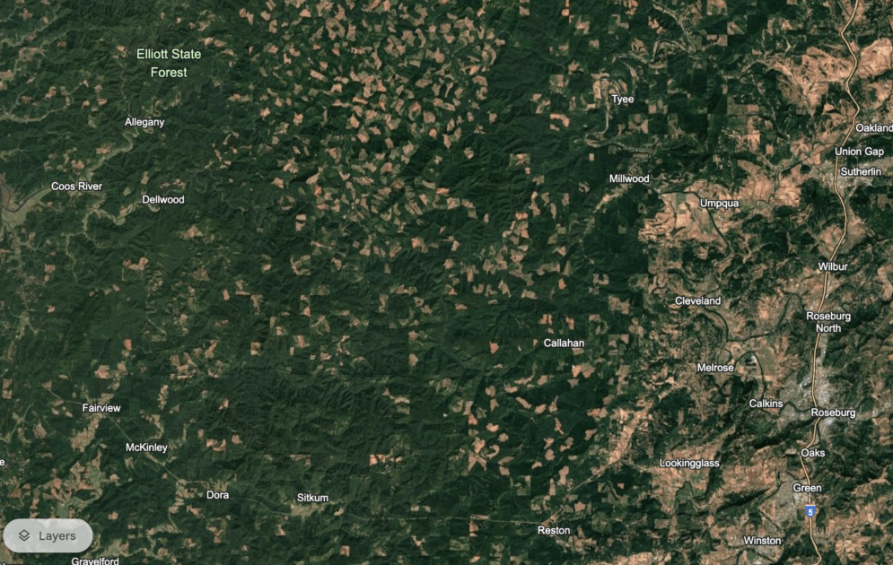 A satellite view of a forest AI-generated content may be incorrect.