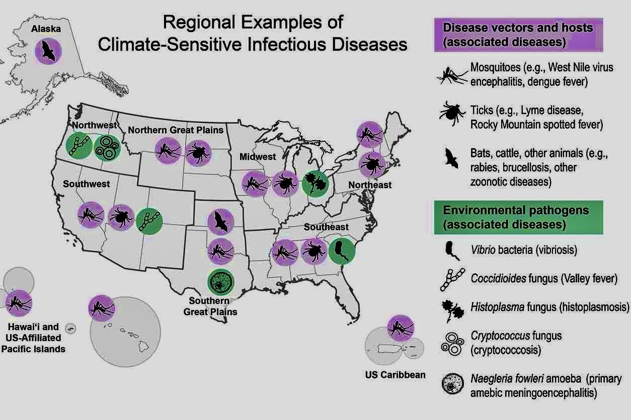 A map of the united states with insects AI-generated content may be incorrect.