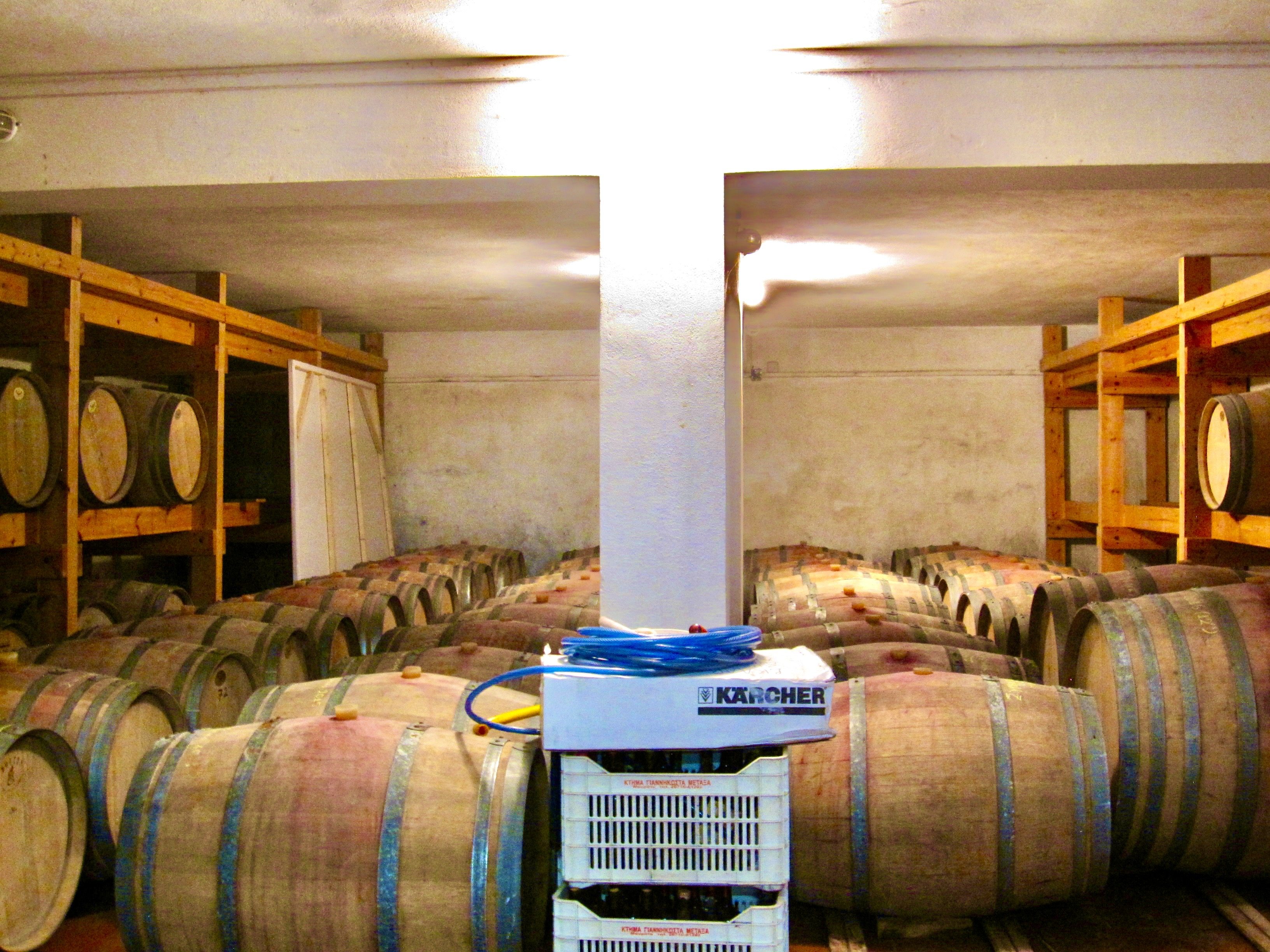 A room with many barrelsAI-generated content may be incorrect.