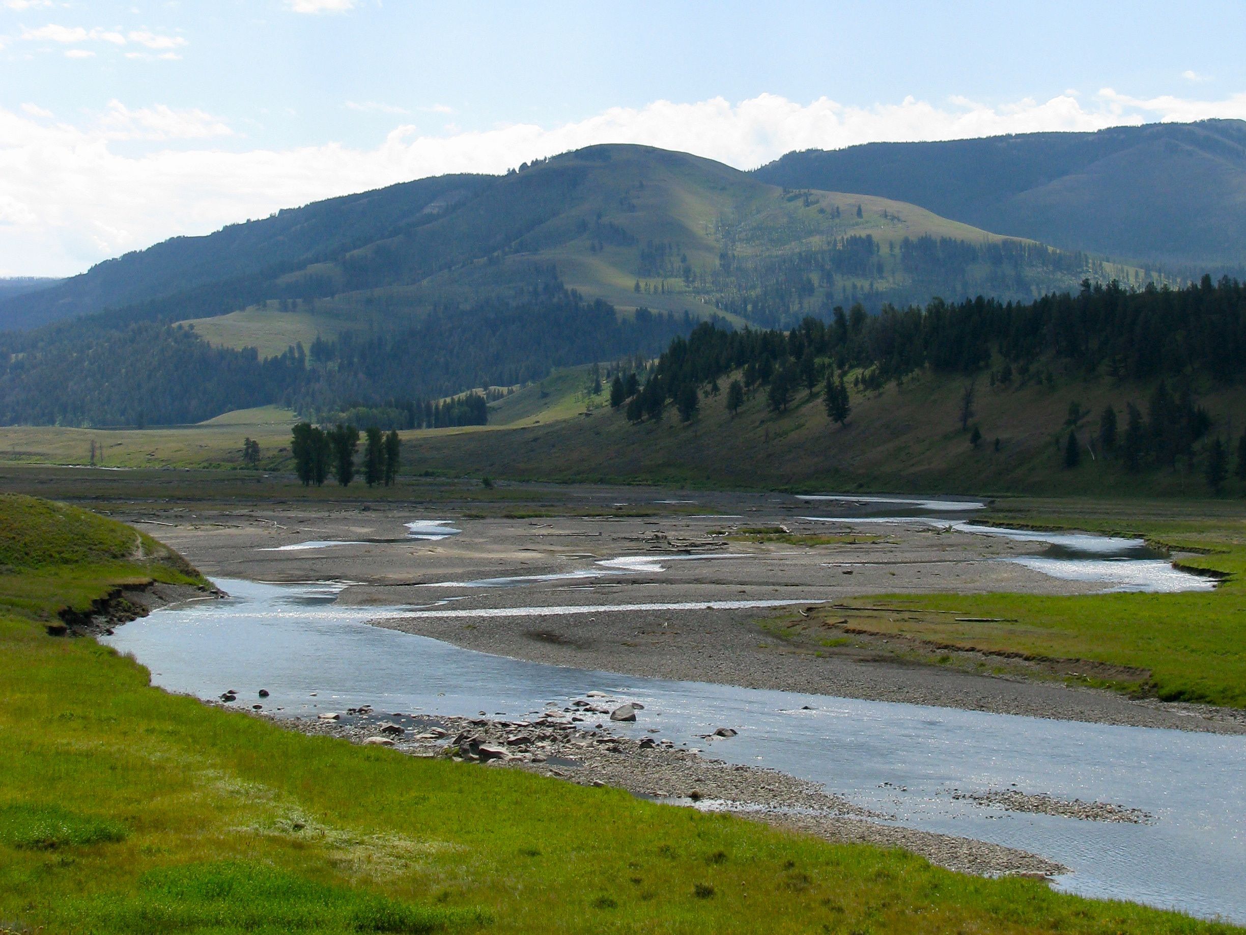 The State of Montana is Failing to Protect the Public’s Water and Fish