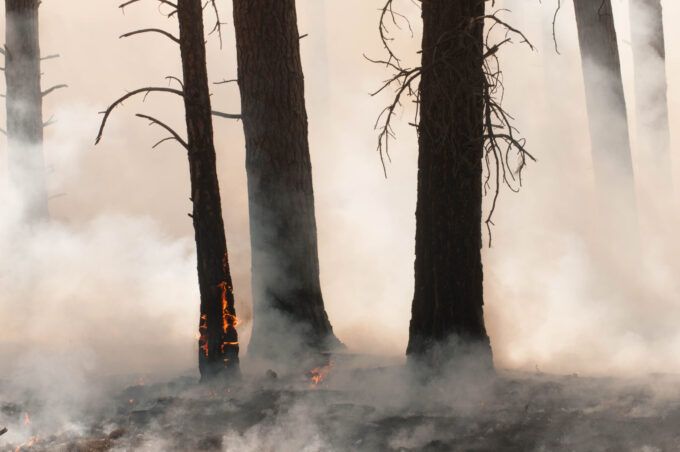 Flawed Assumptions About Wildfires Lead to Poor Public Policies