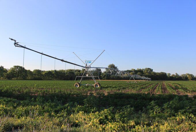 American Soybean Farmers Sold Out; Argentine Counterparts Bailed Out