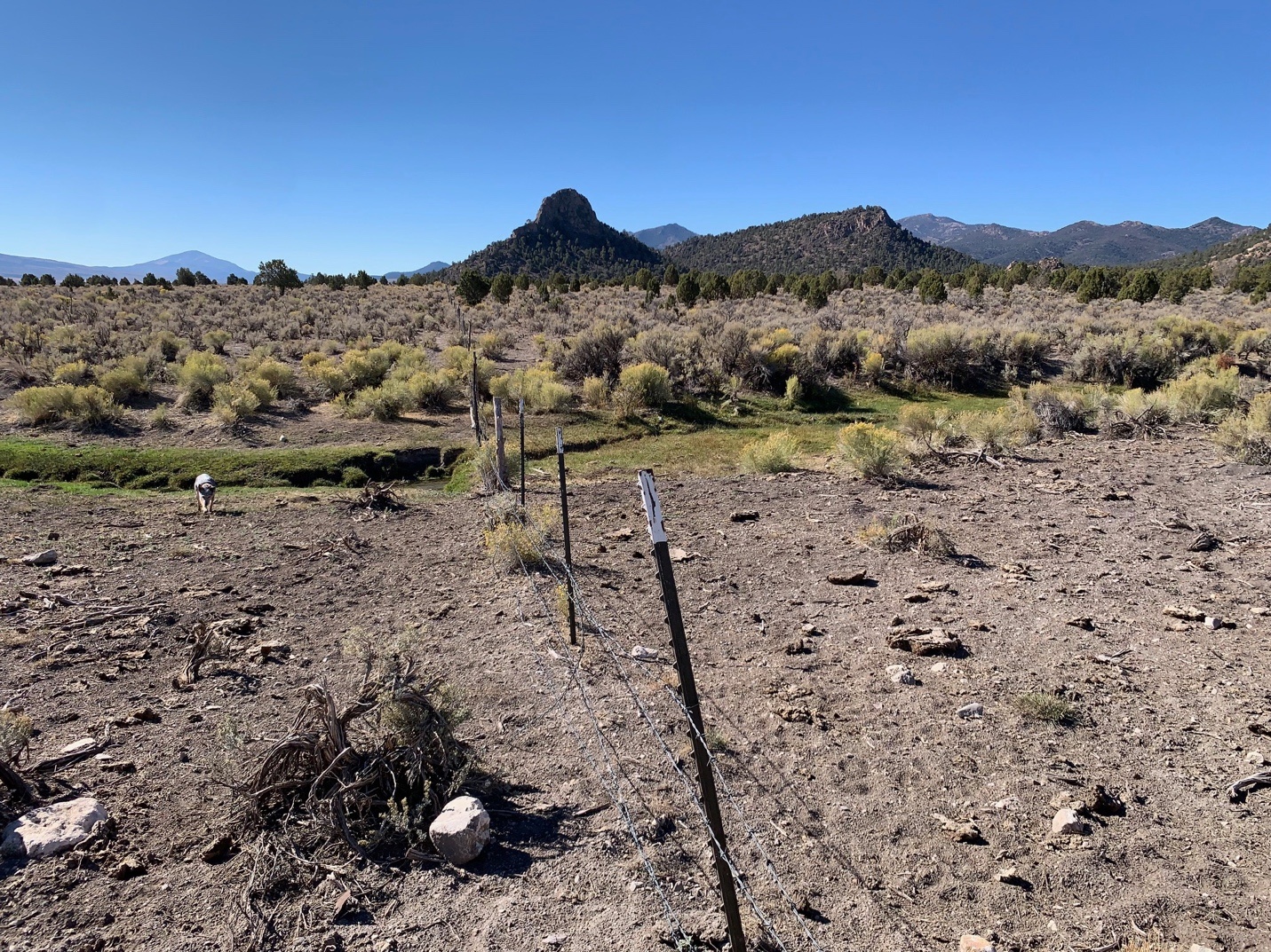 A fence in a field
Description automatically generated