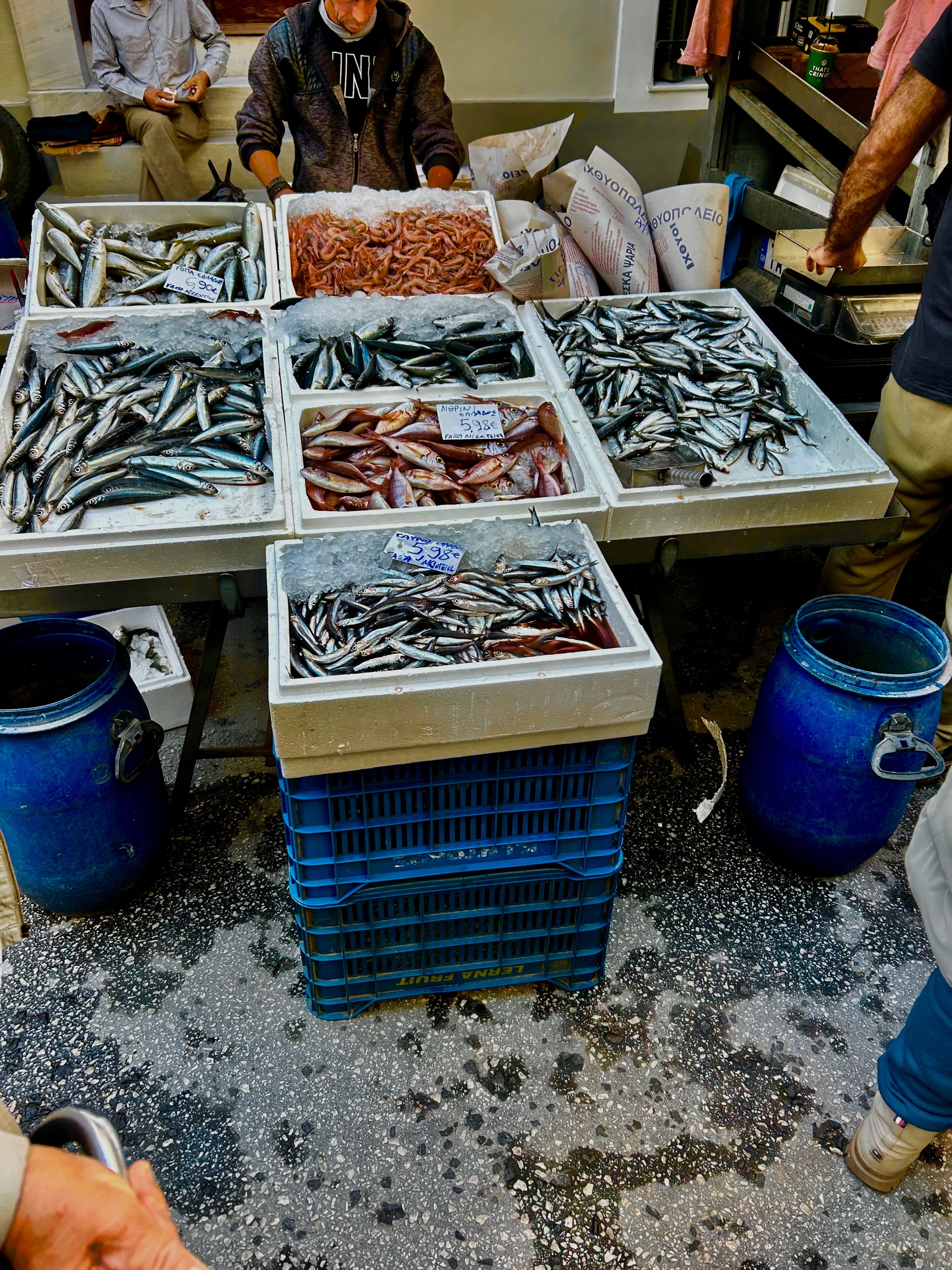 A group of fish in baskets AI-generated content may be incorrect.