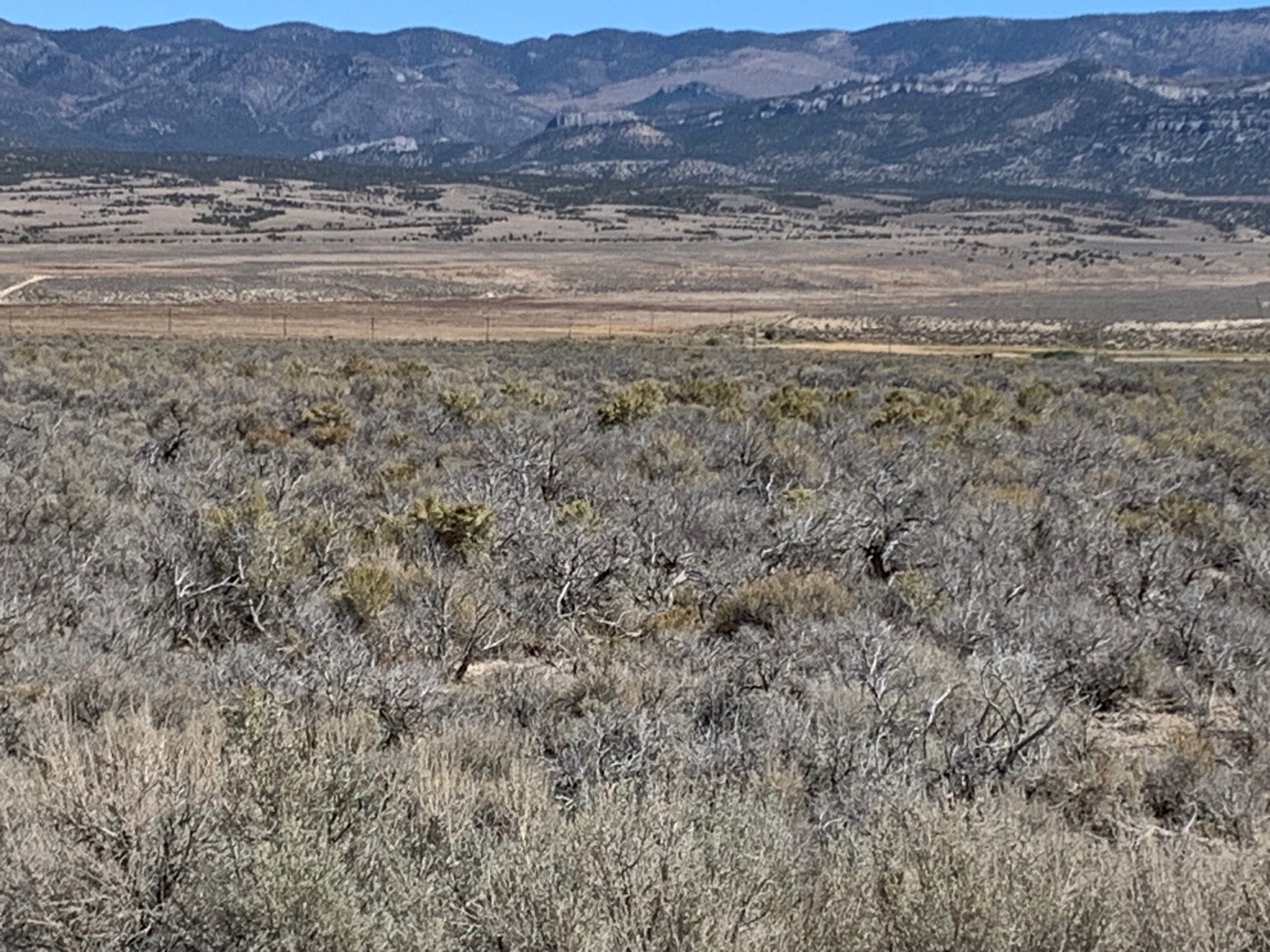 A landscape with a mountain range in the background
Description automatically generated
