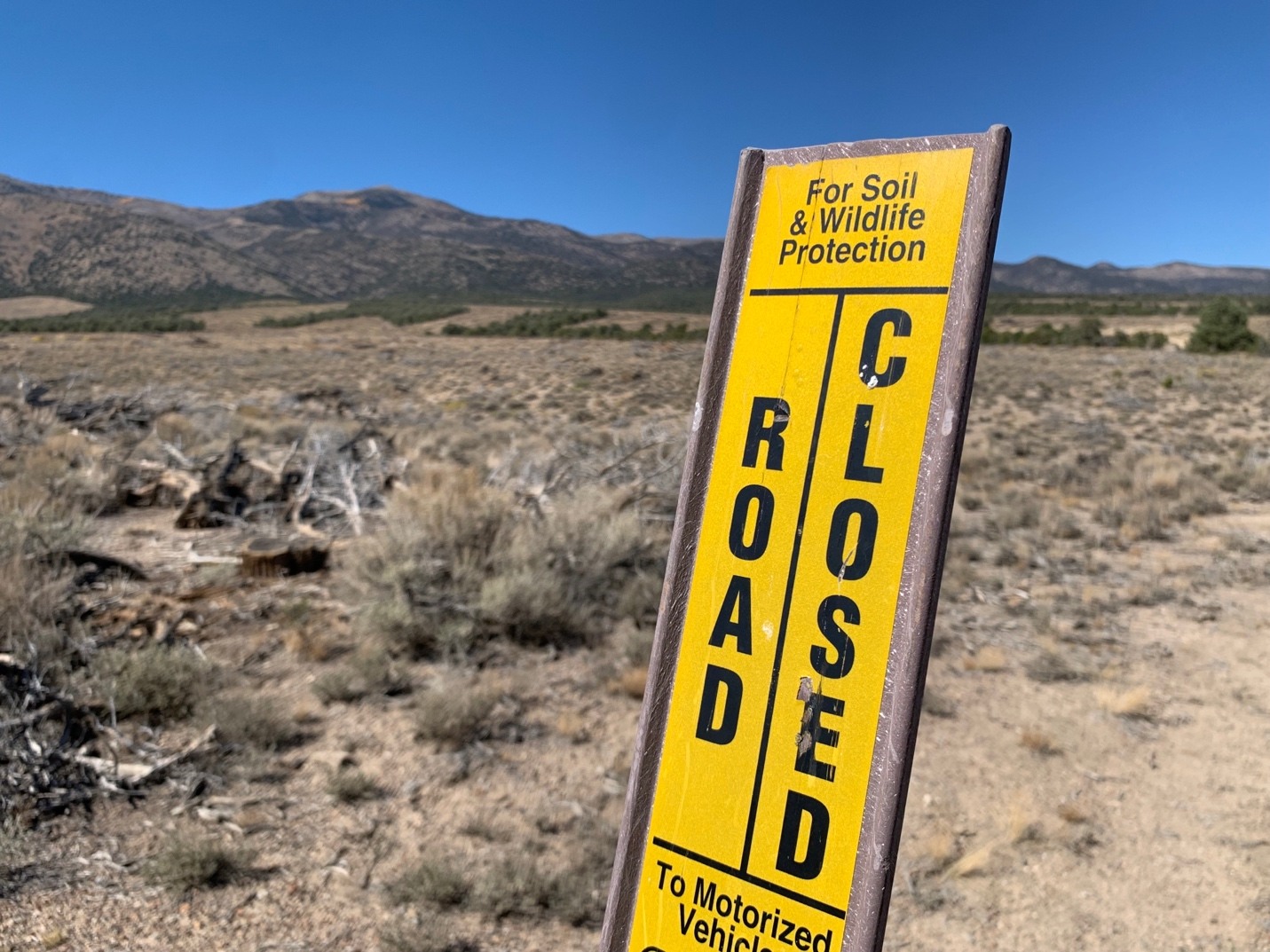 A yellow sign in a desert
Description automatically generated
