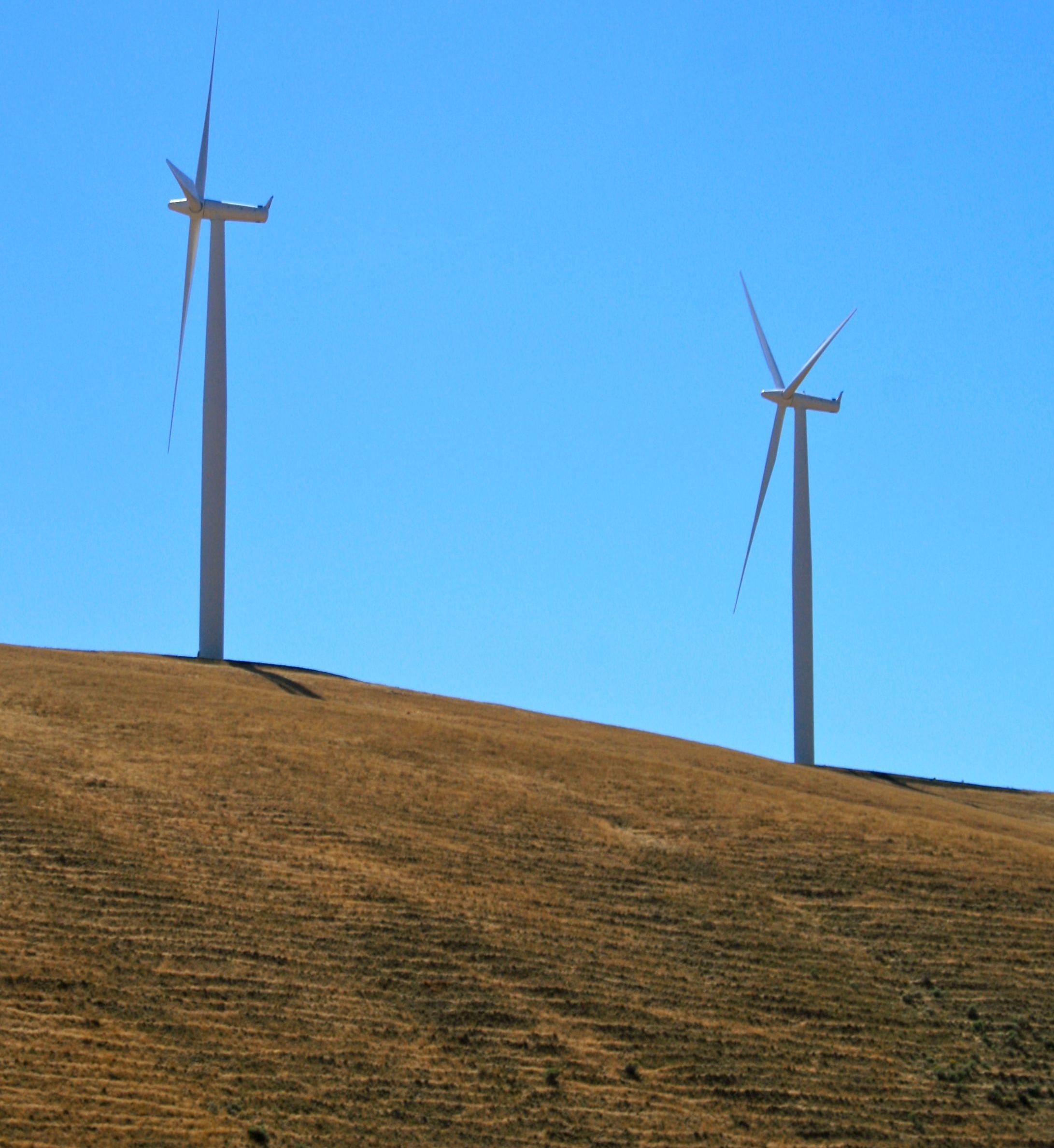 California Can Lead a Just Climate Transition