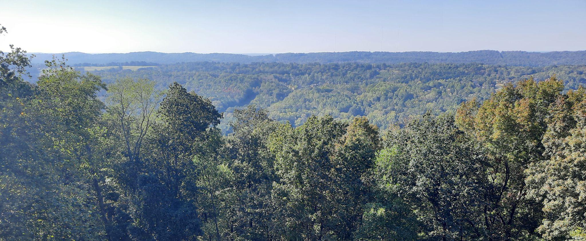 The Singularity of (AI) Shit