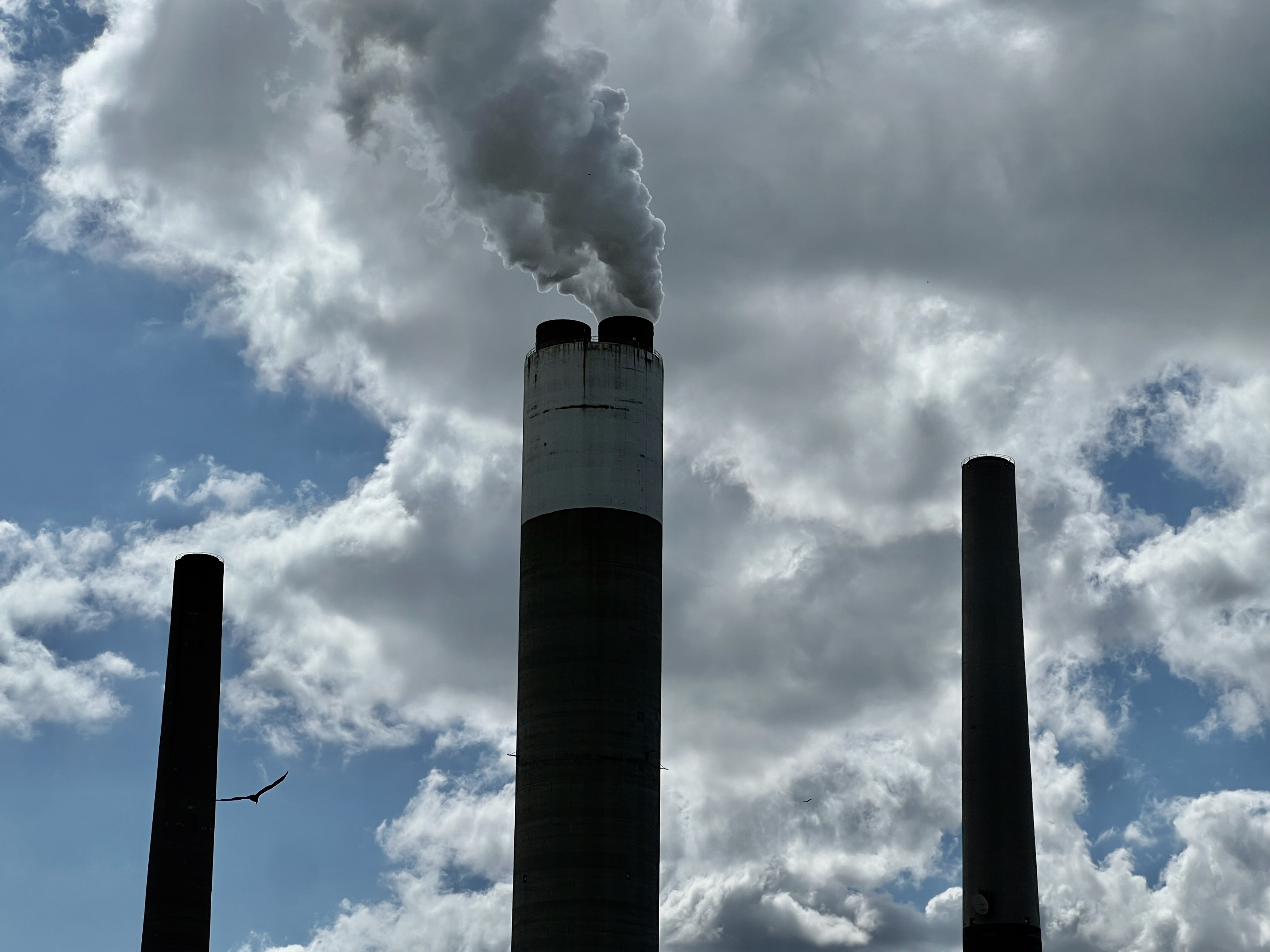 counterpunch.org - Stacy D. VanDeveer - Can the World Quit Coal?