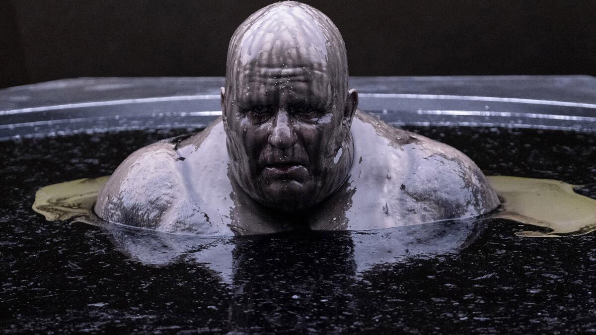 Roaming Charges: the Politics of Crudity and Cruelty