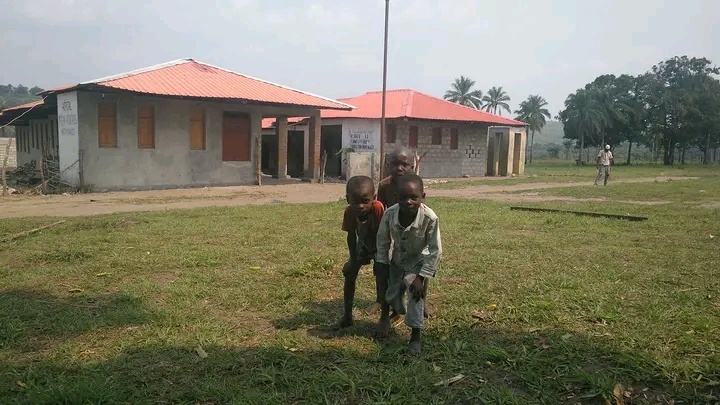 Global Complicity: Who Kills in the Congo?