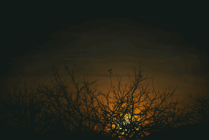 Glimmers of a Post-Trump World