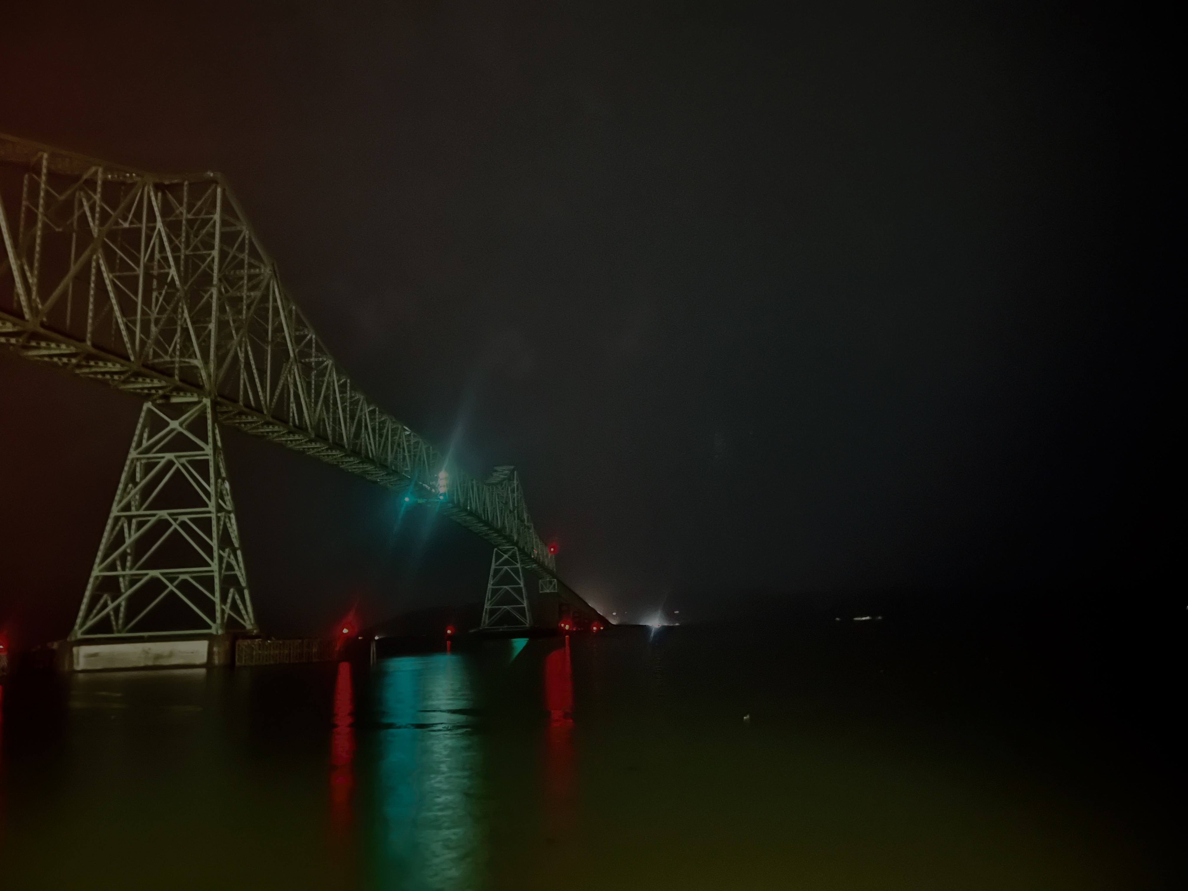 The Hidden Cost of Light Pollution