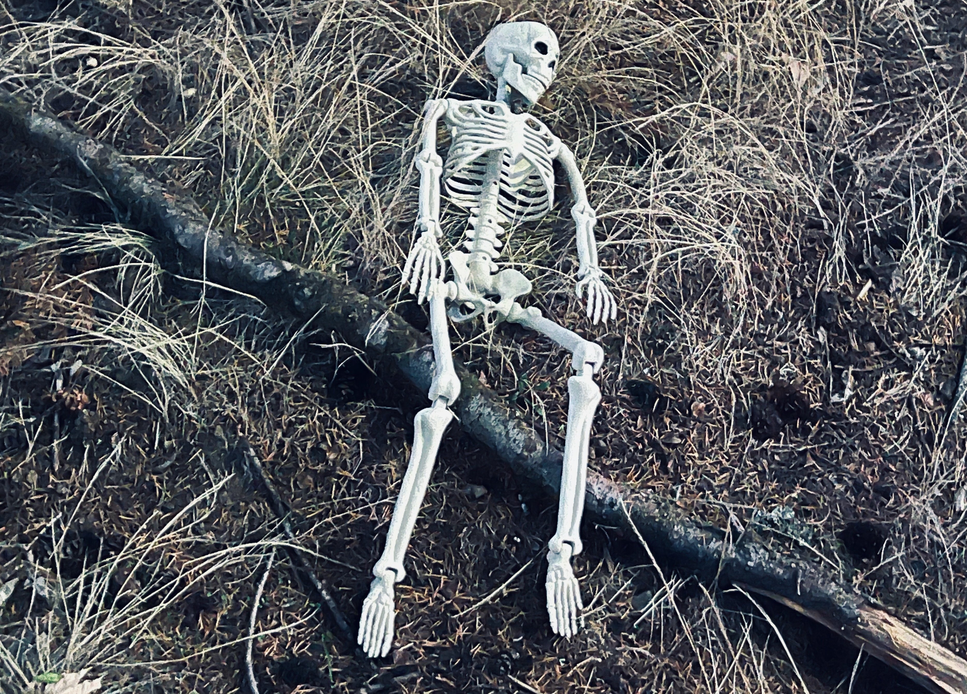 Fraud, Drugs, and Hope for 2026