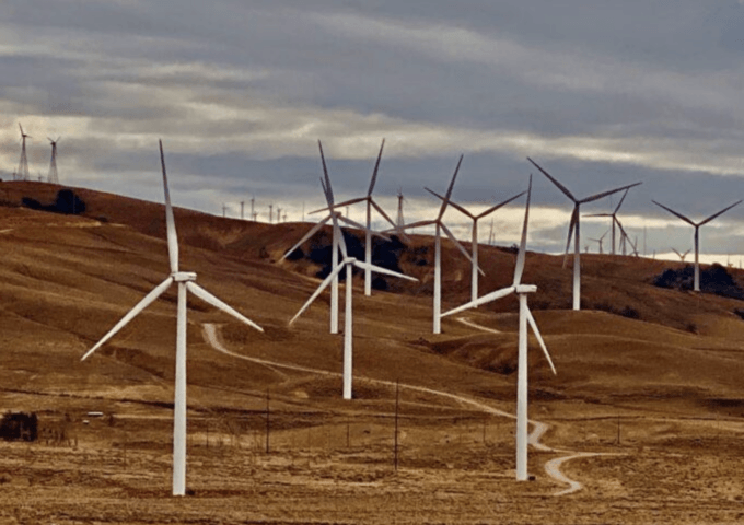 Net Zero: Fantasy, Red Herring, or Reality?