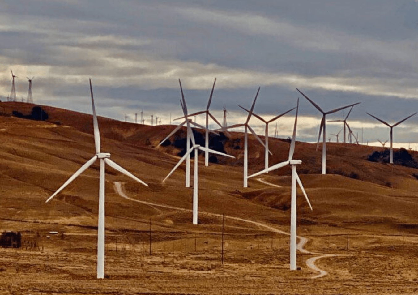 Net Zero: Fantasy, Red Herring, or Reality?