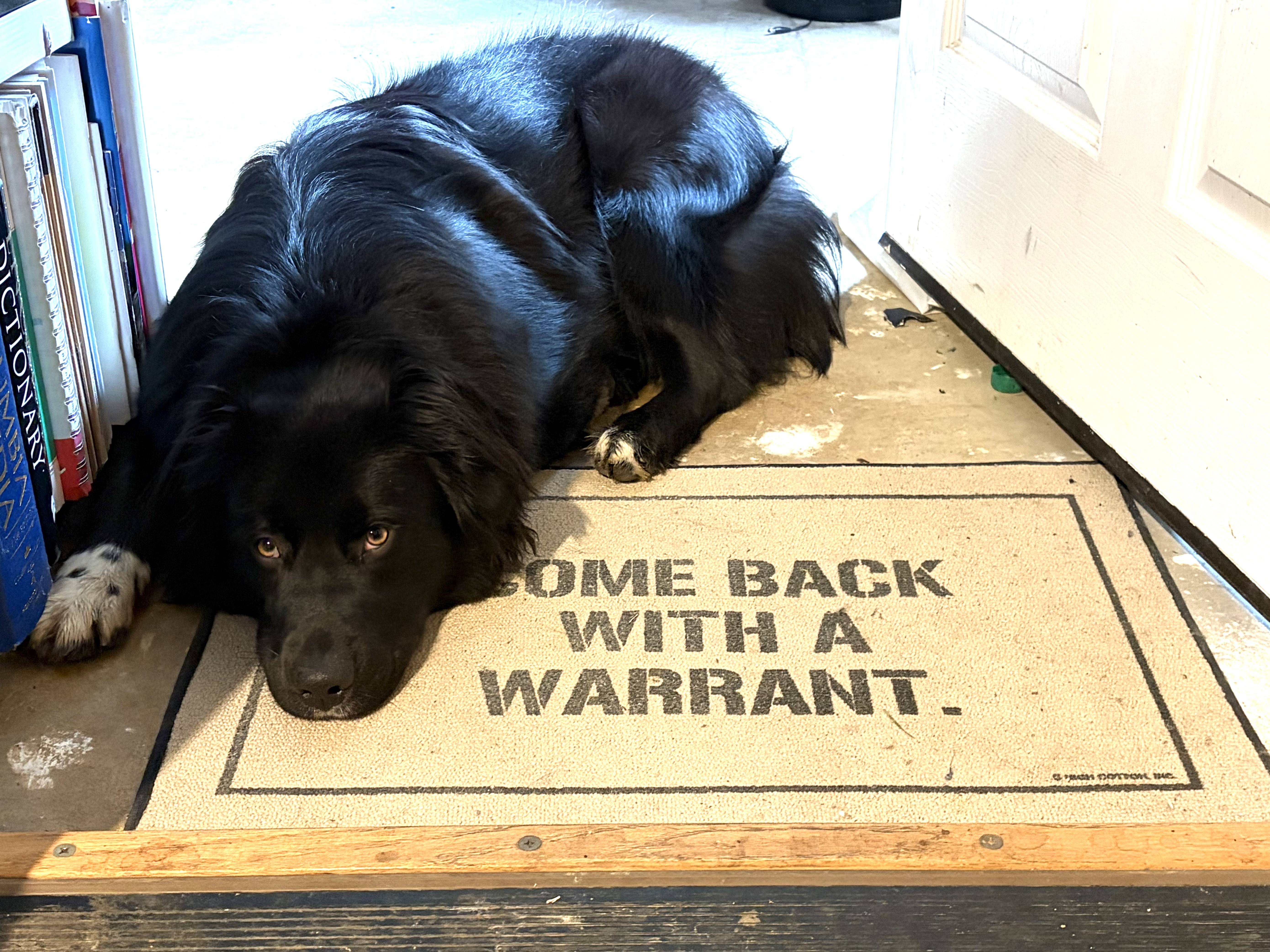 Roaming Charges: Bored of Peace