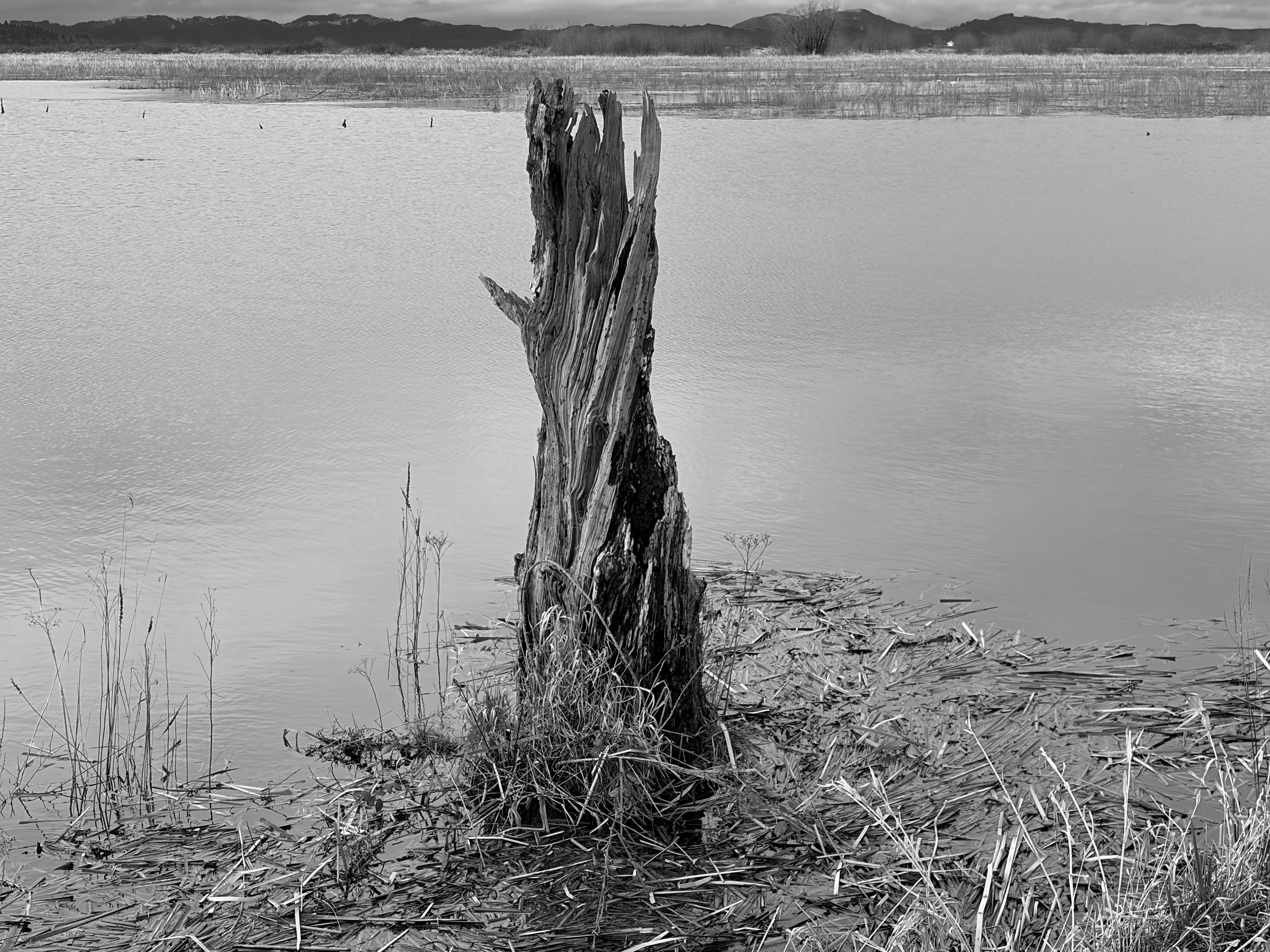 Roaming Charges: State of the Empire in Extremis