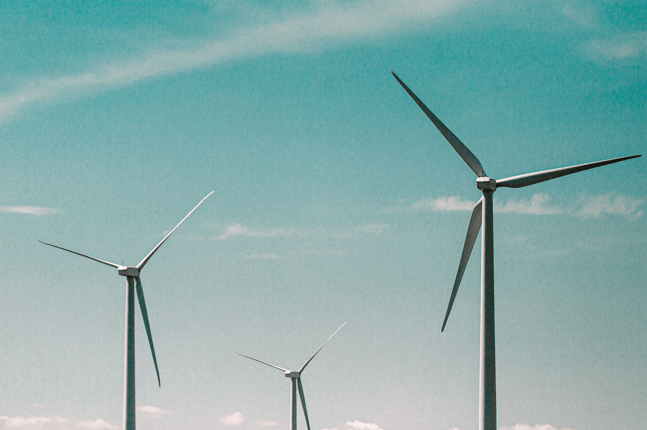 counterpunch.org - John K. White - What's Up With Trump's Crazy 'Windmill' Hate?