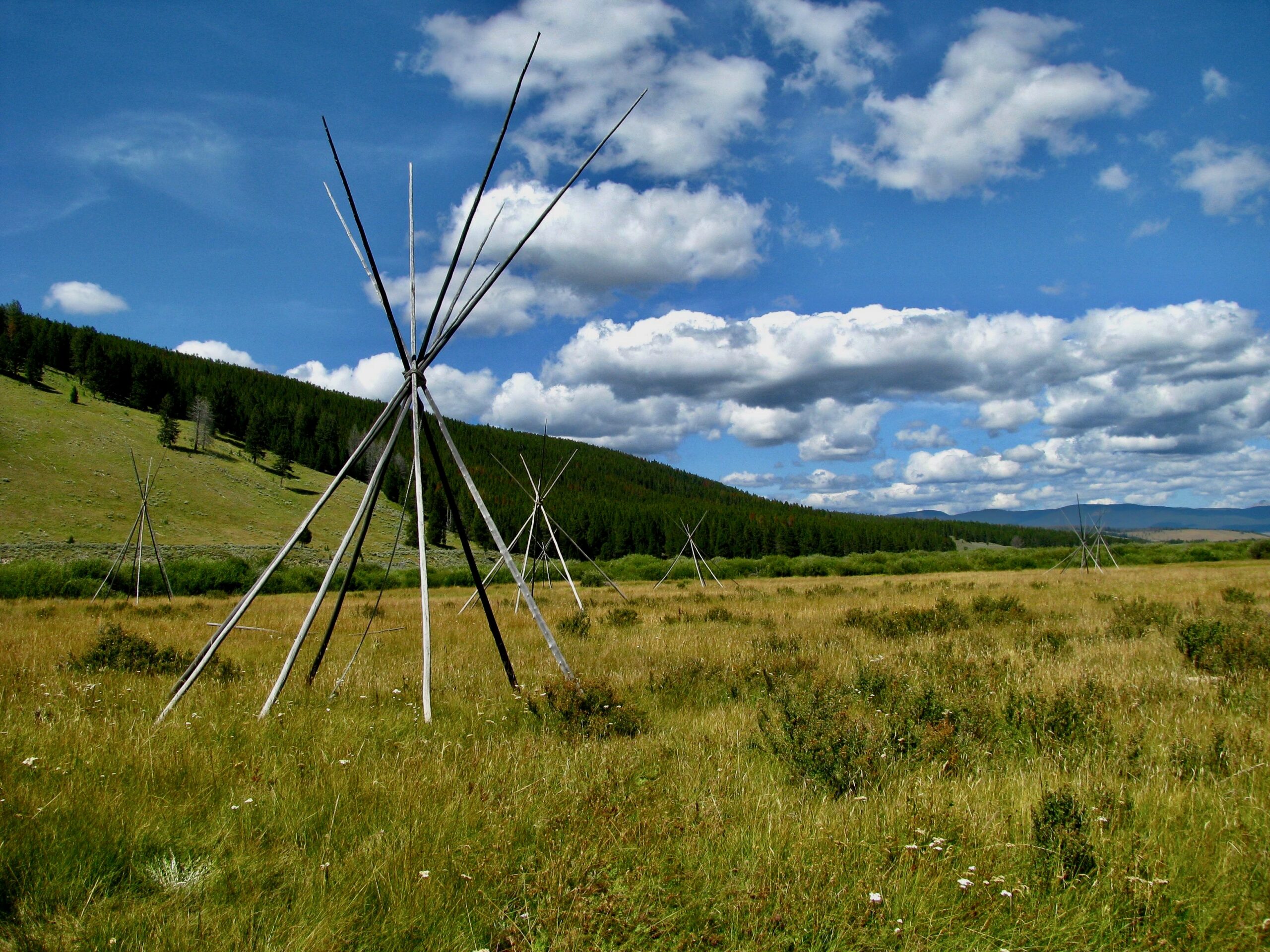 “Exterminate the Brutes”: From American Concentration Camps to Contemporary Imperialism