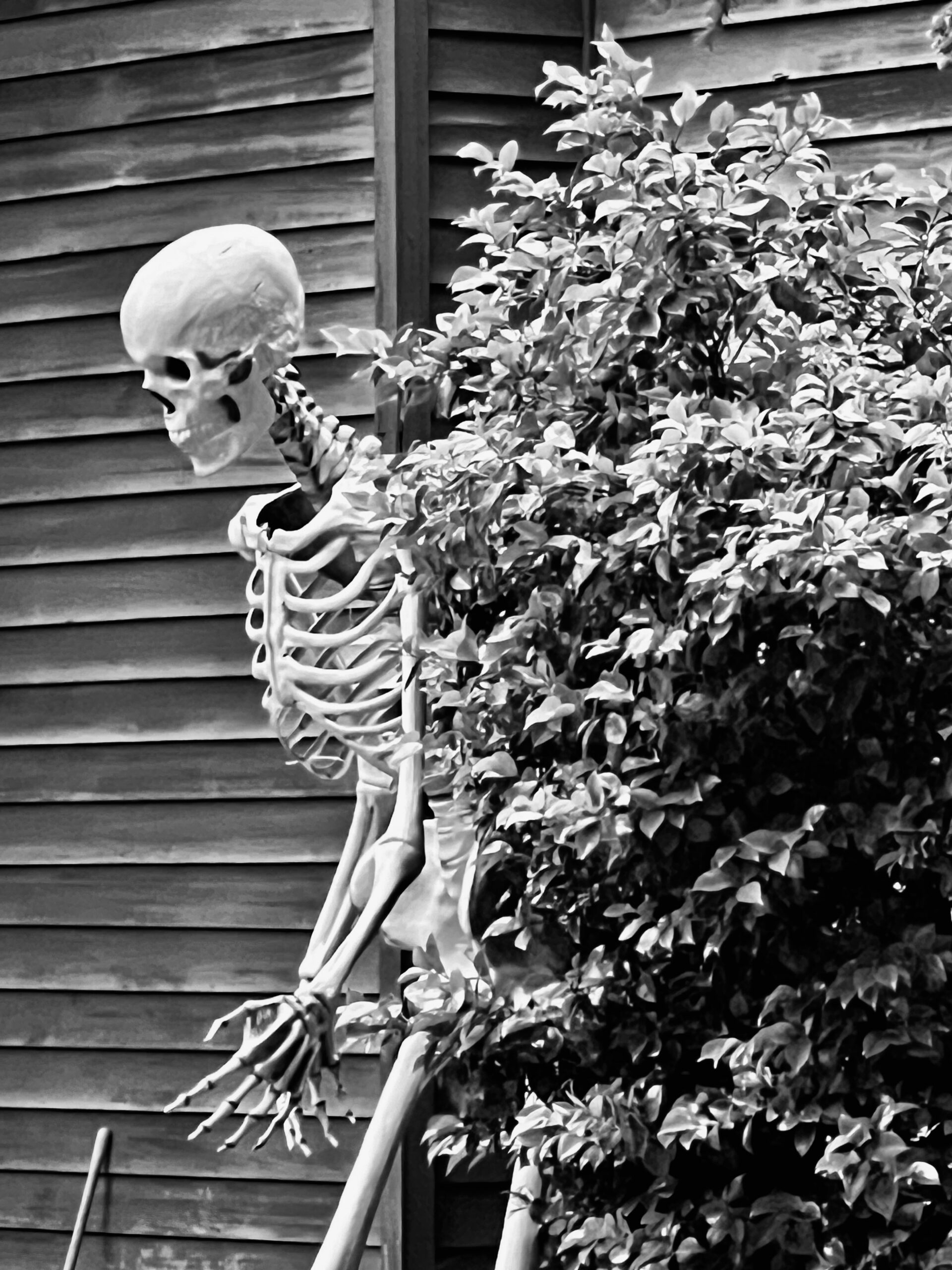 Are Republicans Killing You?