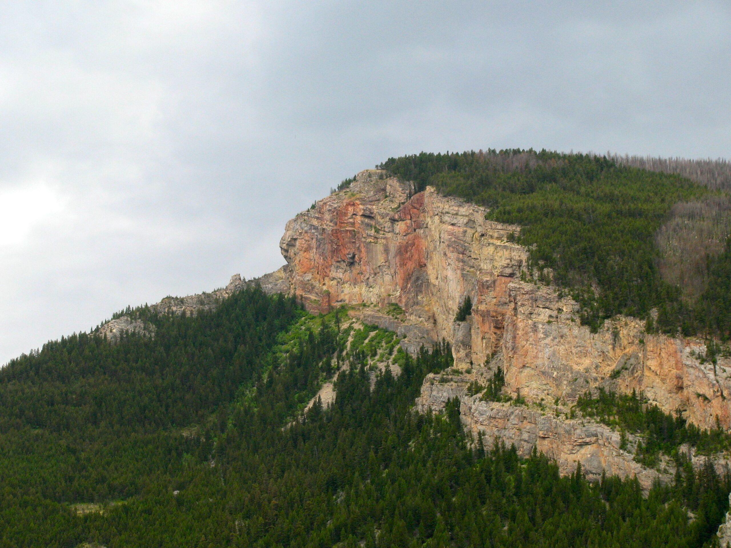 Conservationists File Lawsuit to Stop Forest Service’s Hyalite-South Cottonwood Old Growth Logging Project In Montana’s Most Popular National Forest Recreation Area 