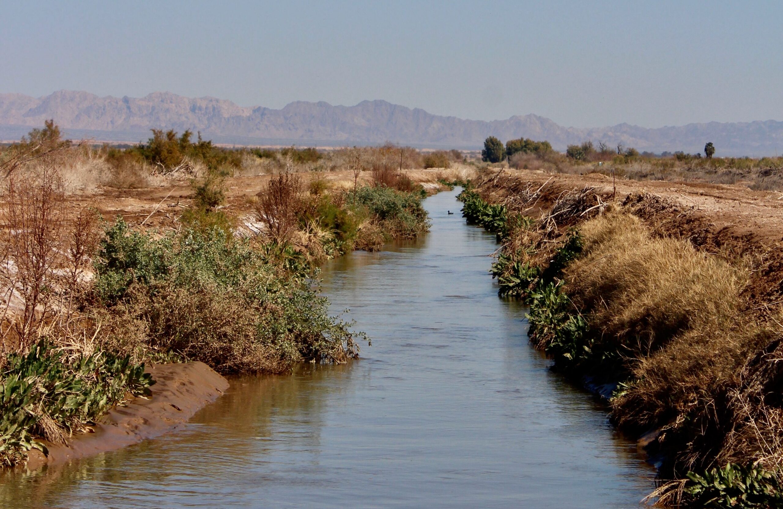 Water Rights Have Become Water Wrongs