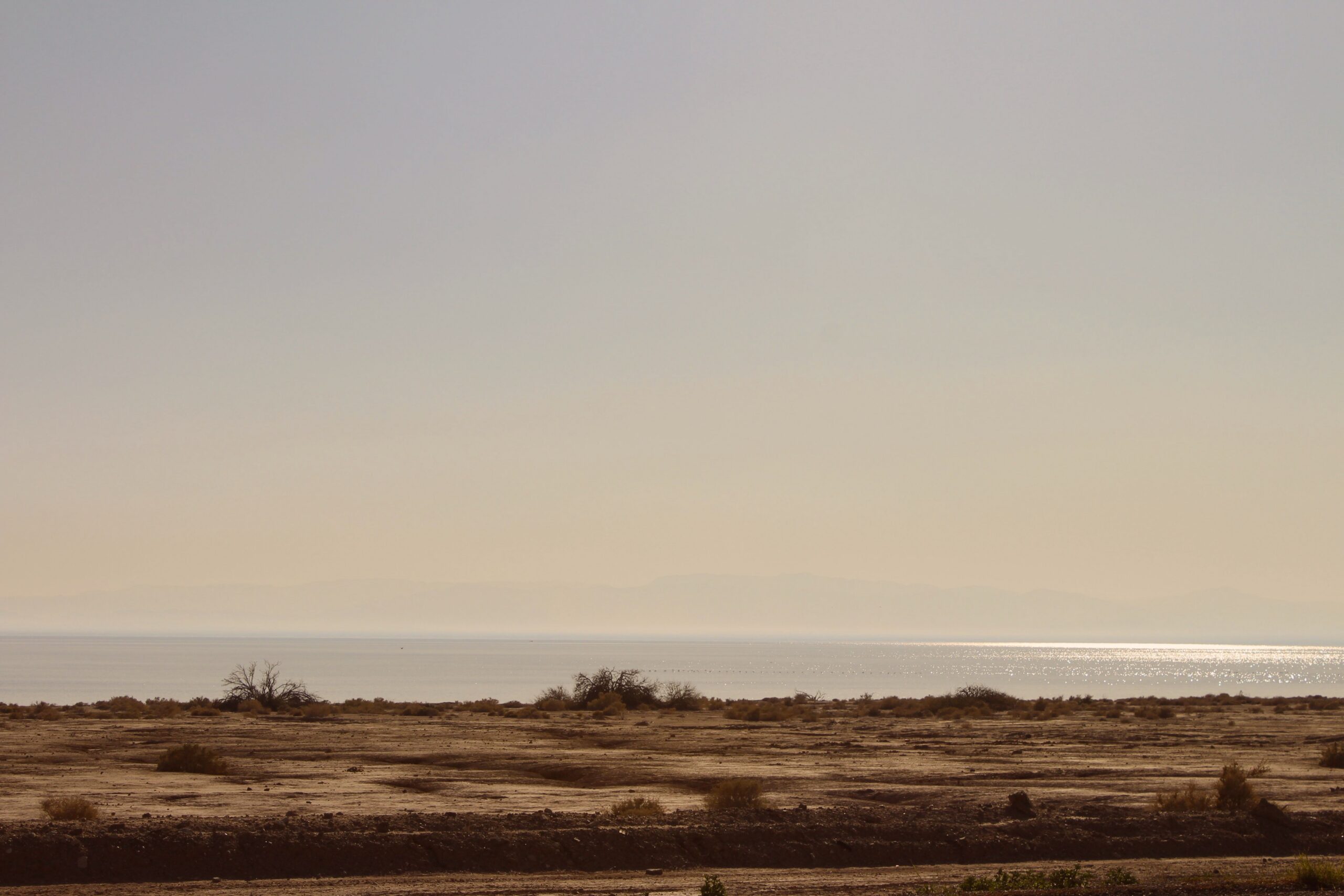 Toxic Dust From California’s Shrinking Salton Sea is Harming Children’s Lungs