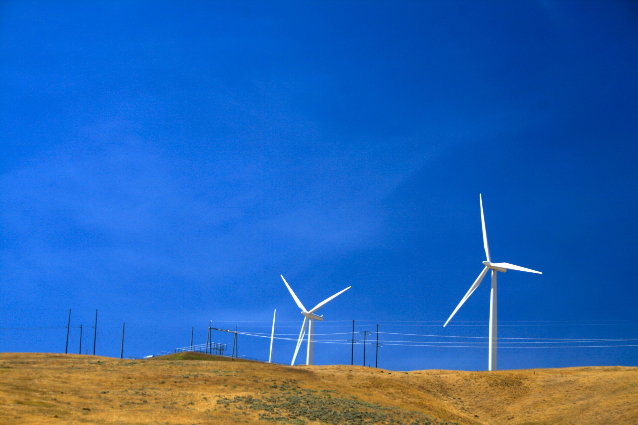 counterpunch.org - Dean Baker - Trump Hits a Home Run for the Green Transition