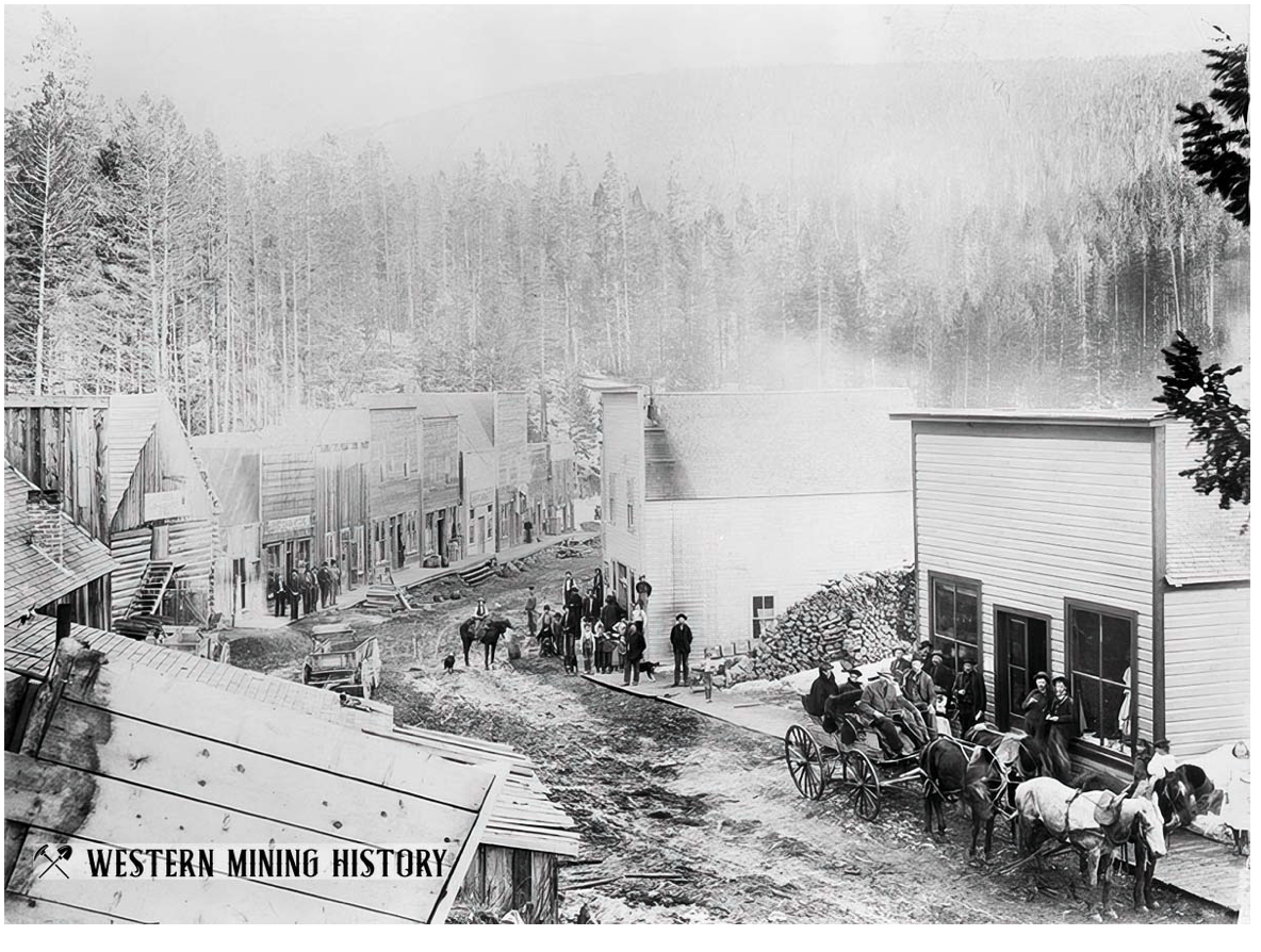 Calling Bull on Forest Service and Timber Industry Propaganda About “Unnaturally Thick Forests”