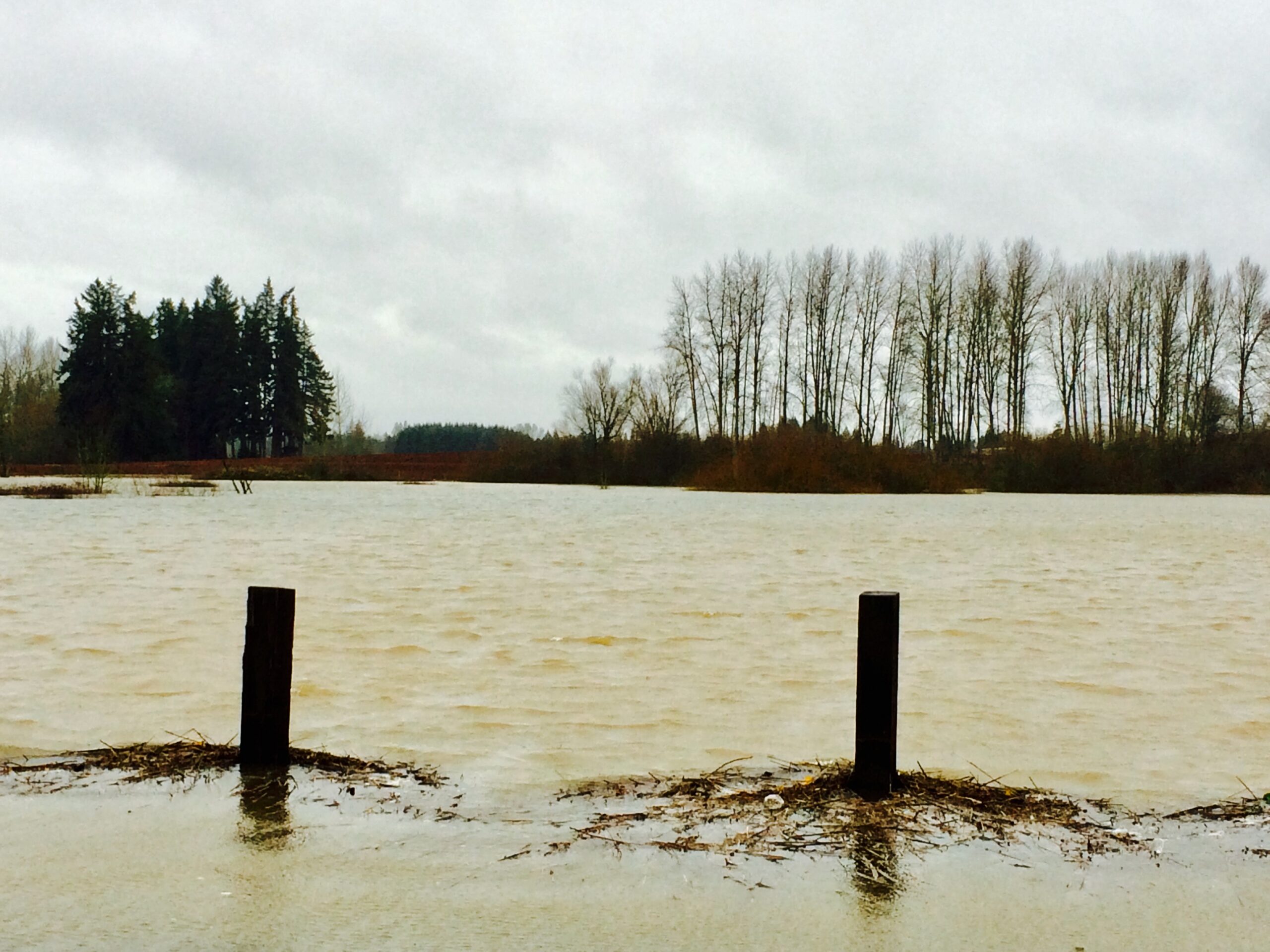 counterpunch.org - Matt Sedlar - Privatization and Climate Risk Will Expand the US Flood Insurance Gap