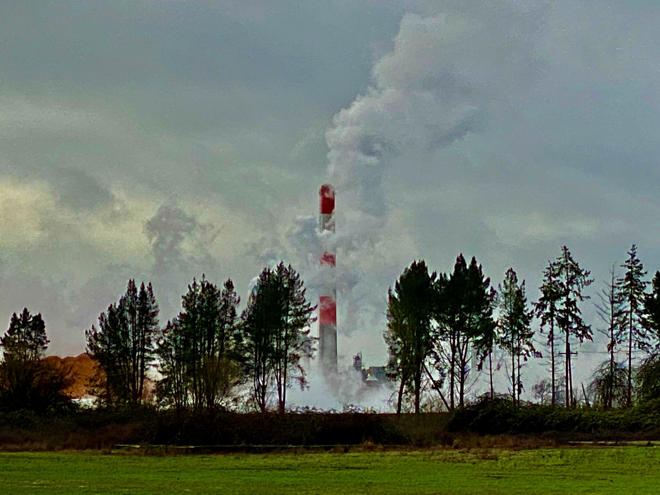 The Troubling Precedent of Federal Immunity for Corporate Pollution