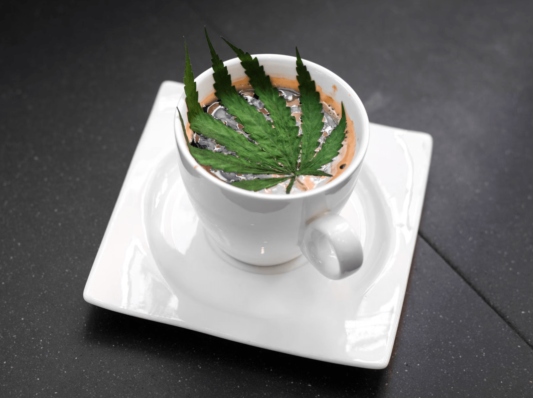 counterpunch.org - Phillip Smith - Tennessee's Ban on THCA