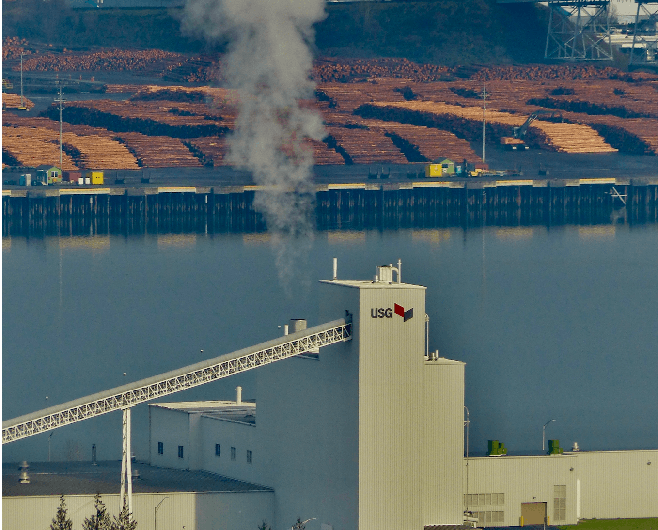 counterpunch.org - Rachel Rose Jackson - Why Big Carbon Offsets Often Fail