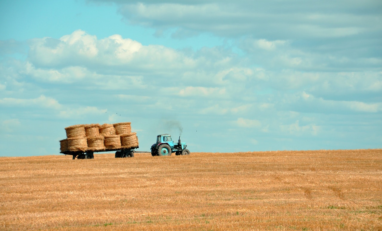 counterpunch.org - Robert Hunziker - Extreme Heat Takes Farming to the Brink