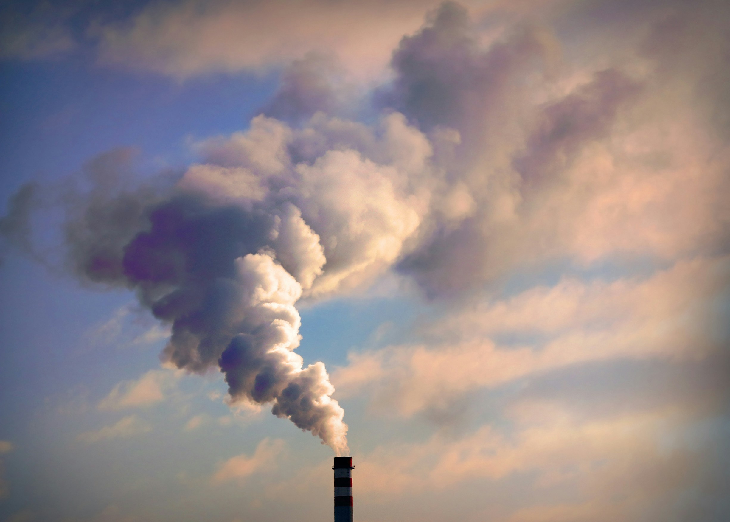Elites Have No Plan for Climate Collapse