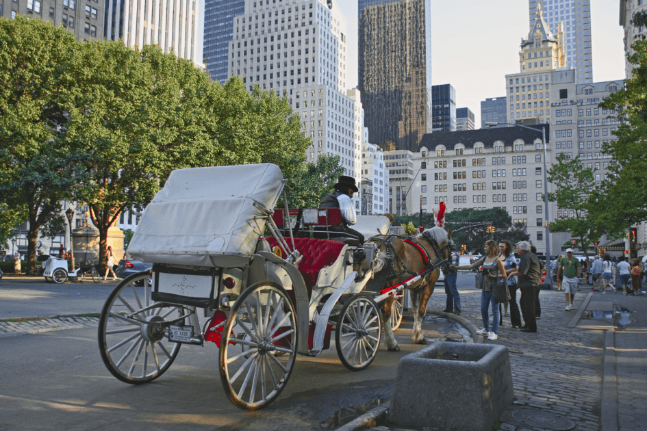 New York City Will Drop Its Horse Carriage Tourism. And Then?